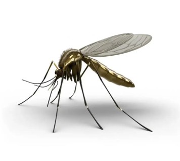 Mosquitos
