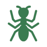 desinpragas-icone-formiga