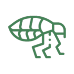 desinpragas-icone-pulgas