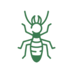 desinpragas-icone-termita