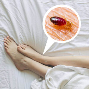 os-riscos-para-a-saude