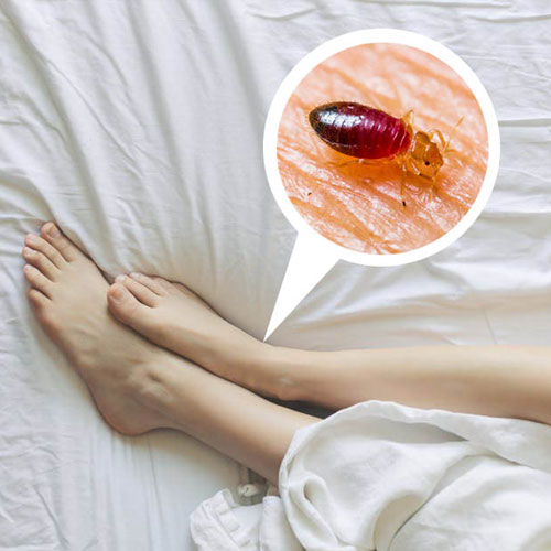 os-riscos-para-a-saude